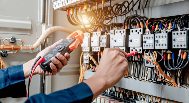 Best Electrical System Inspection  in Blue Grass, IA