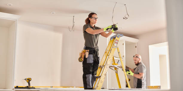 Best Electrician for Home Renovation  in Blue Grass, IA