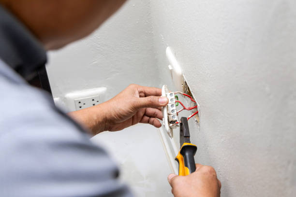 Best Electrician Near Me  in Blue Grass, IA
