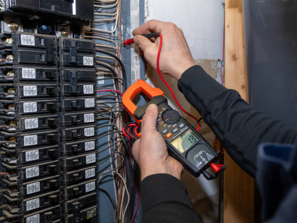 Best Home Electrical Repair  in Blue Grass, IA