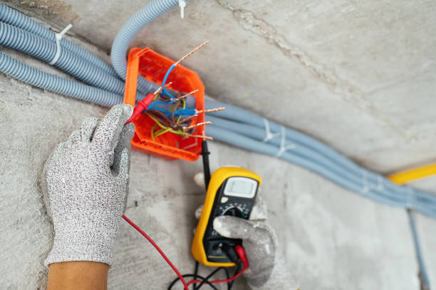 Best Electrical Repair Services  in Blue Grass, IA